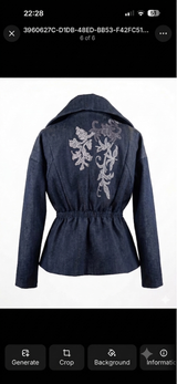 Delphi Denim Blazer